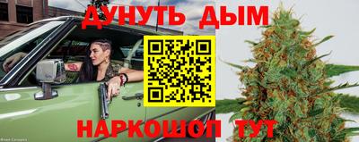 крисы Коммунар